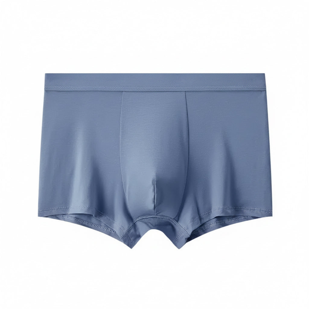 BASIQ Men's Modal Stretch Boxer Brief - Blue