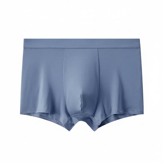 BASIQ Men's Modal Stretch Boxer Brief - Blue
